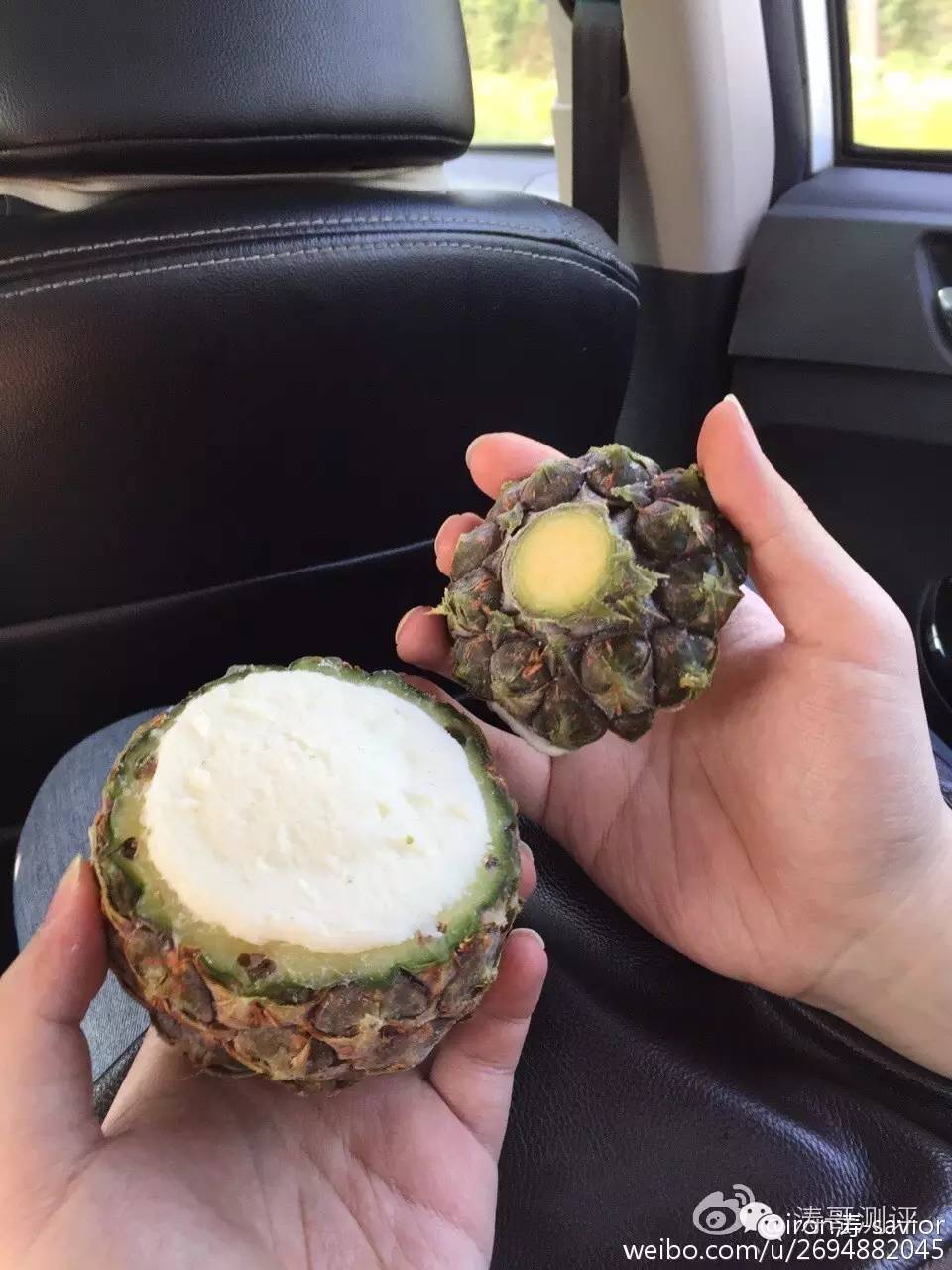 常州游记,苏南游记常州