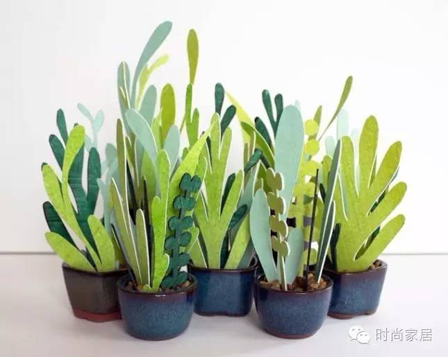 如何打造小型珍稀植物园,如何打造一个美丽的植物园