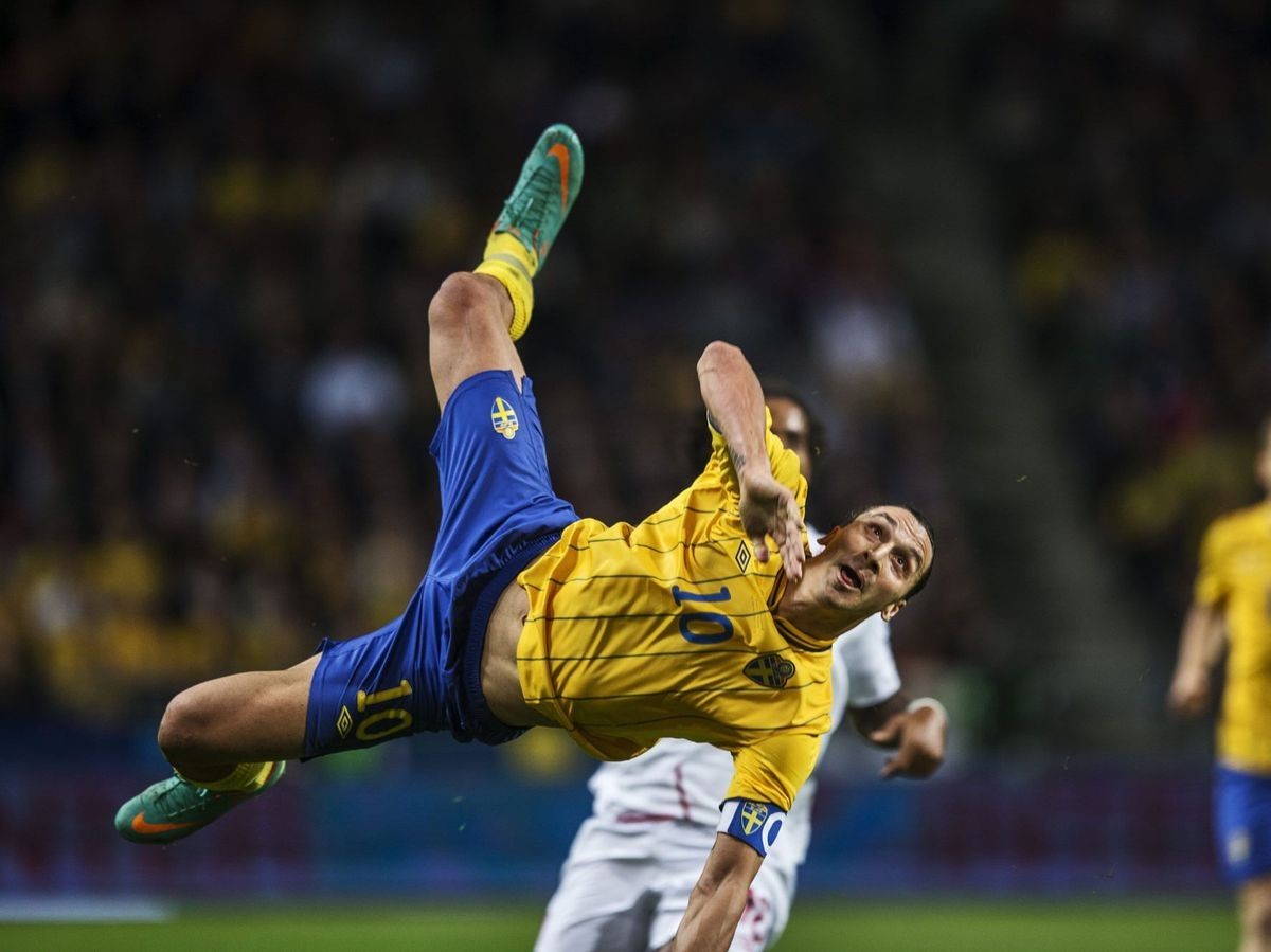 伊布的霸气,海贼王伊布