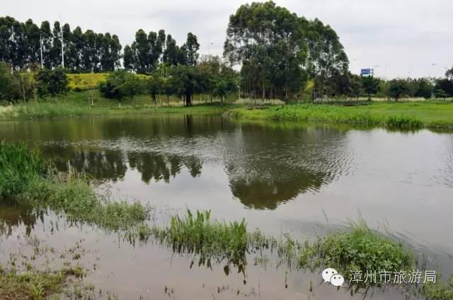 杭州西溪生态公园,西溪郊野公园好玩吗