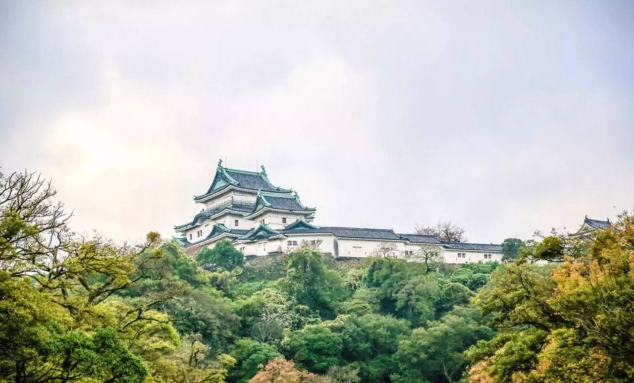 百万级帖主的“再度进击”|西日本,你不该错过这些