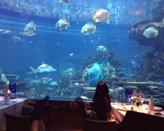 只是纯粹想分享个状态吗?不,因为穷的只剩钱了