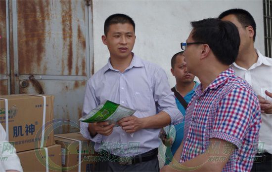 屠宰场杀猪的情况,生猪屠宰场杀猪实拍