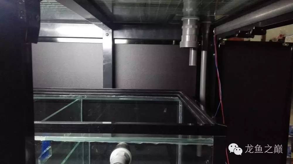 超级白,超会做,这才叫养鱼!