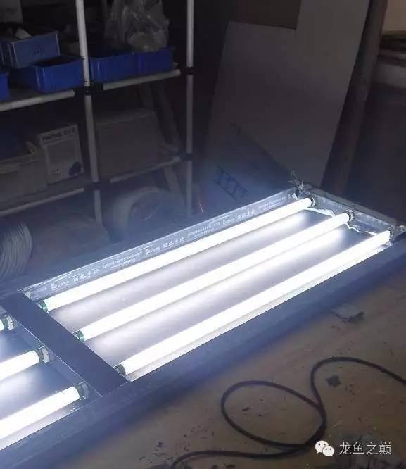 超级白,超会做,这才叫养鱼!