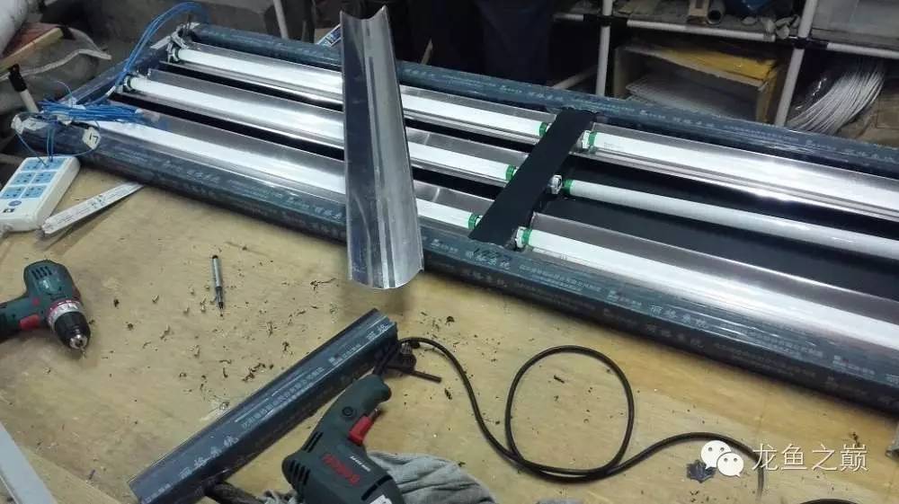 超级白,超会做,这才叫养鱼!