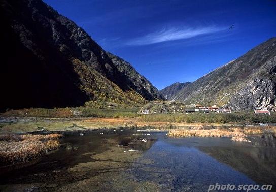 以樱桃为主题的名字,以樱桃的名义约会