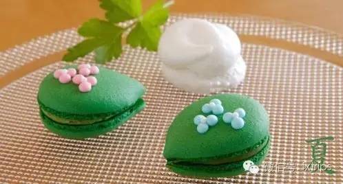 去日本带回来什么礼物,去日本送朋友什么礼物