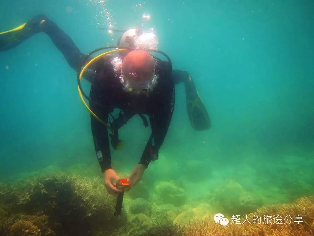 潜水芽庄,芽庄哪个岛适合潜水