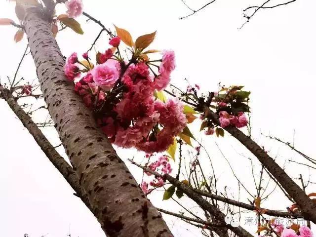 杭州西溪生态公园,西溪郊野公园好玩吗