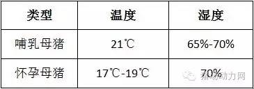 技术警惕！夏季母猪产后流脓增多，需紧急预防处理