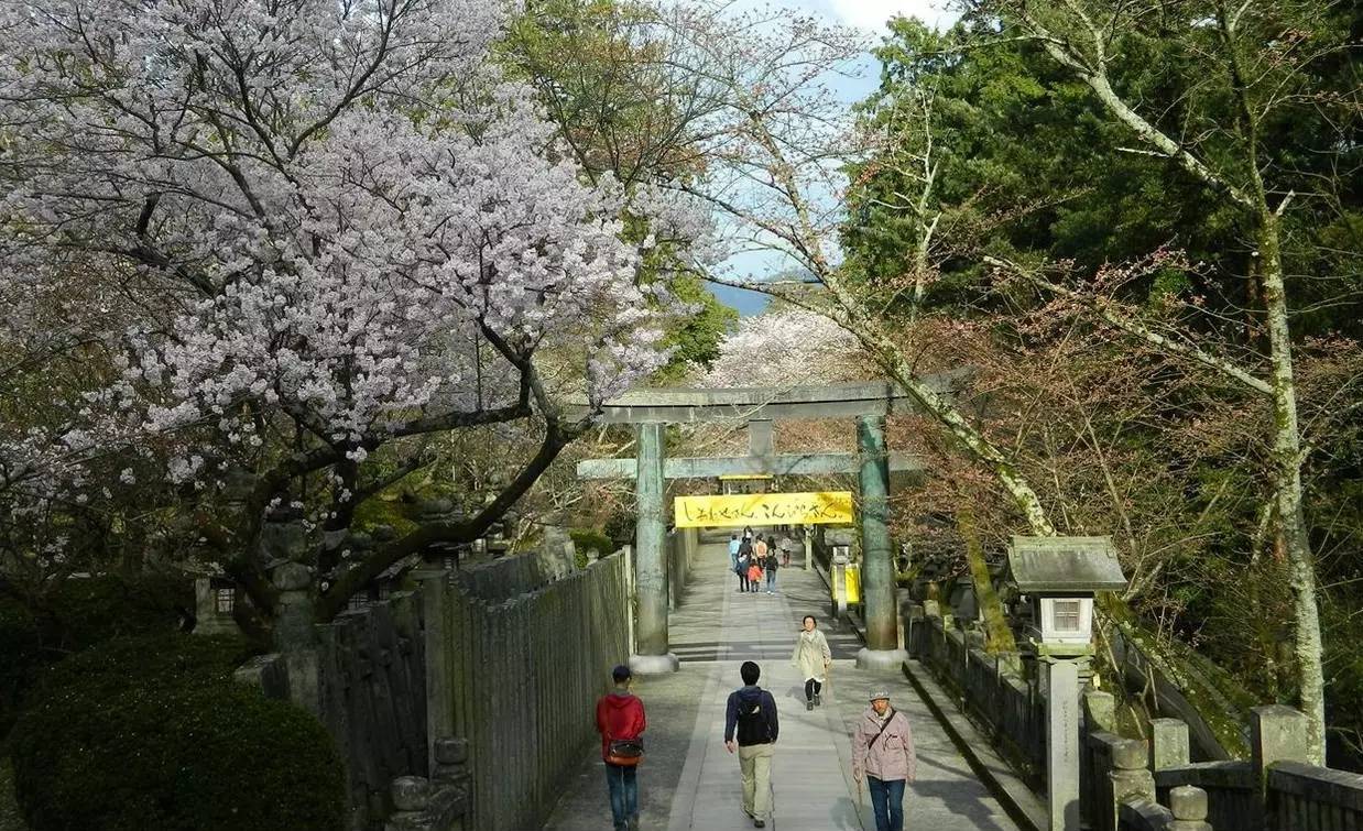 百万级帖主的“再度进击”|西日本,你不该错过这些