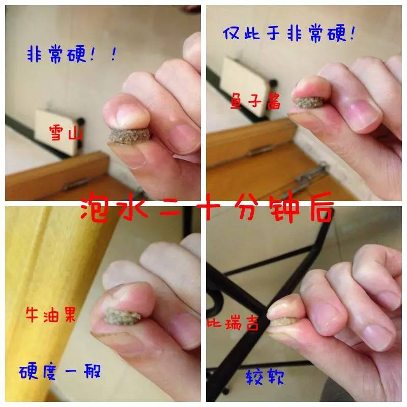 推荐几款好狗粮,2023热门狗粮测评