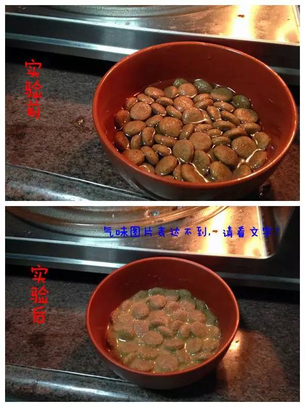 推荐几款好狗粮,2023热门狗粮测评