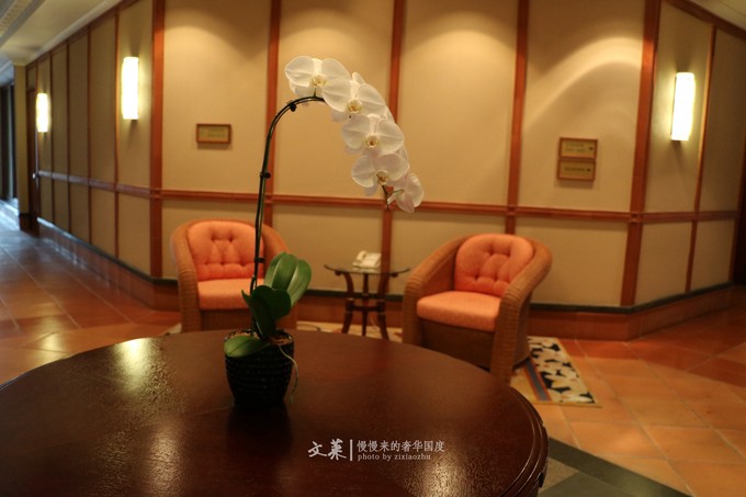 吴尊文莱照片,吴尊文莱最帅的照片