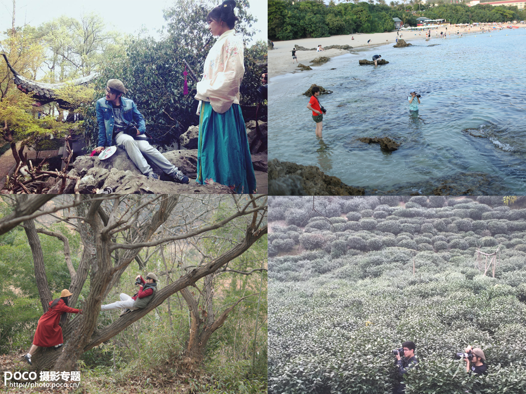 采访疯子,采访一个疯子