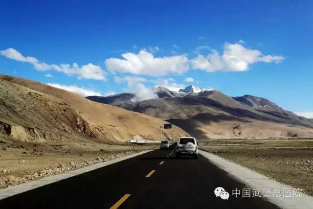 *警武**医院里的这群人他们的行为你想象不到！