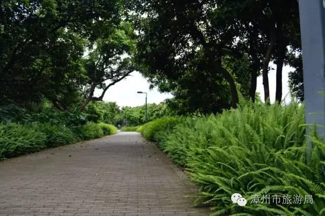 杭州西溪生态公园,西溪郊野公园好玩吗