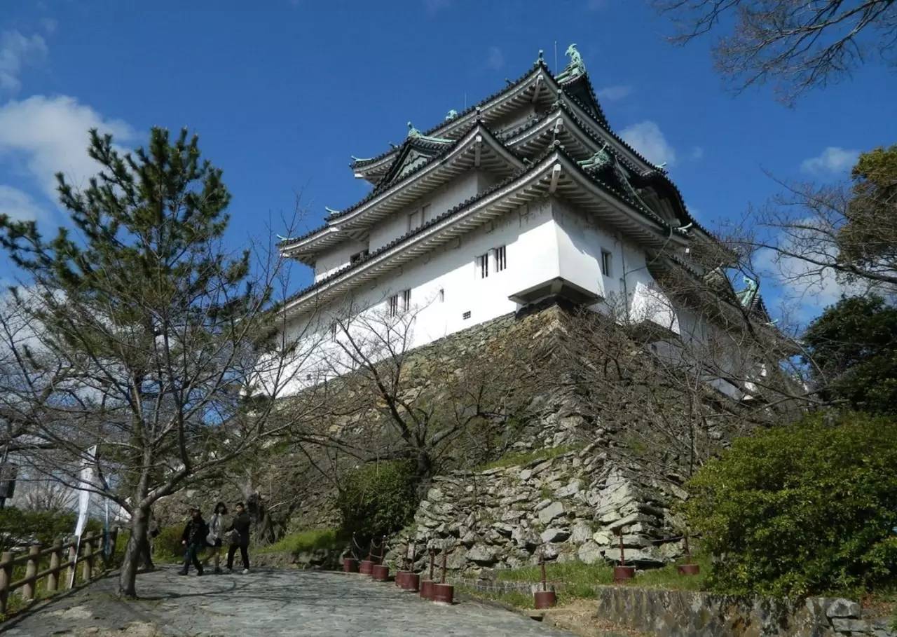 百万级帖主的“再度进击”|西日本,你不该错过这些