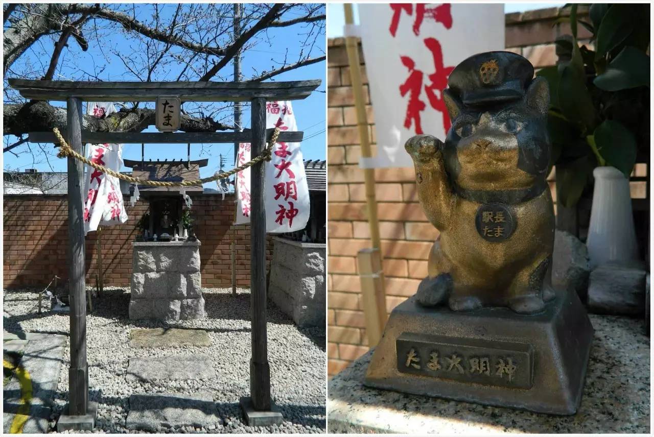 百万级帖主的“再度进击”|西日本,你不该错过这些