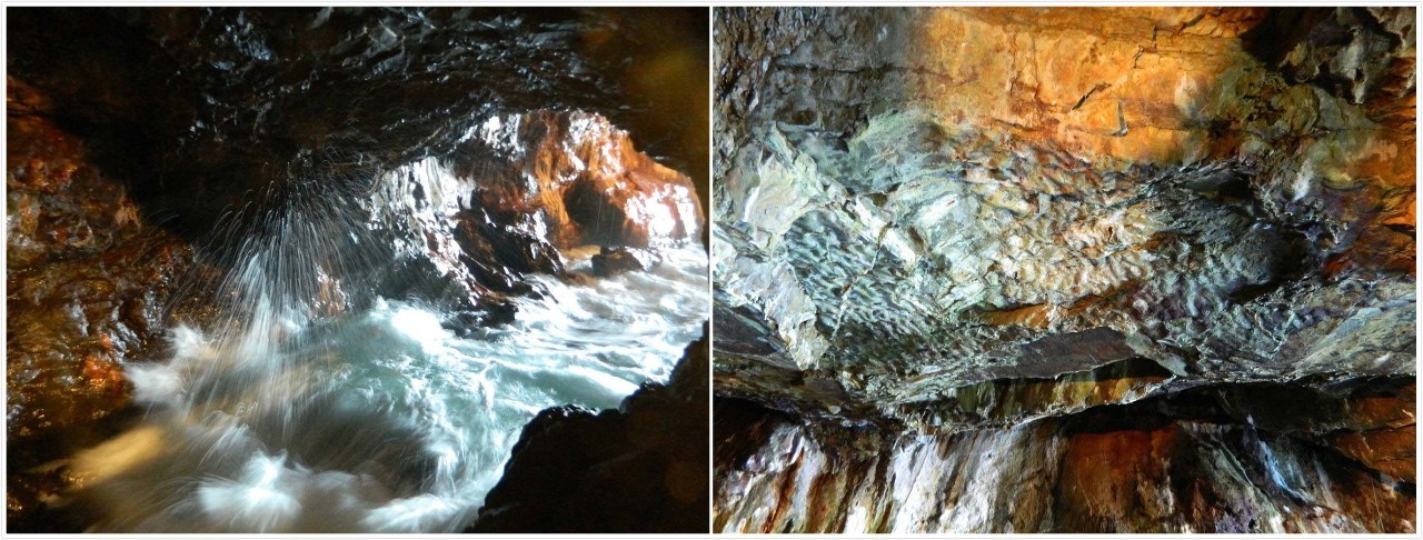 百万级帖主的“再度进击”|西日本,你不该错过这些