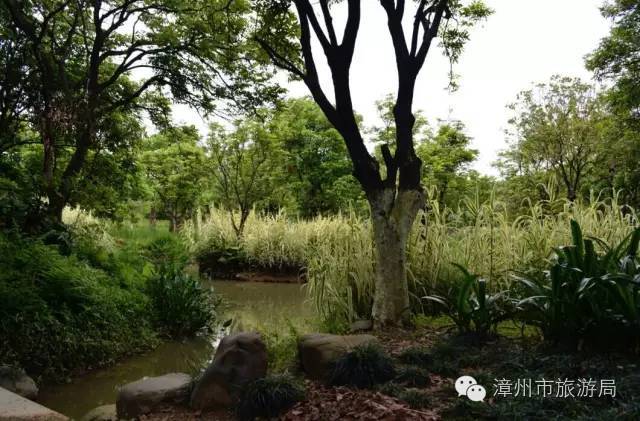 杭州西溪生态公园,西溪郊野公园好玩吗