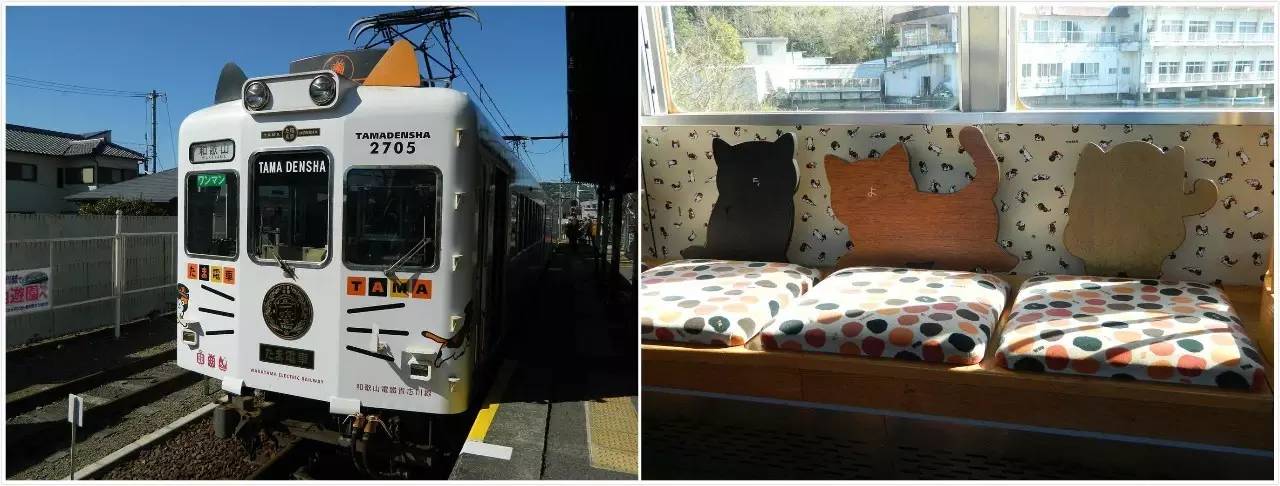 百万级帖主的“再度进击”|西日本,你不该错过这些