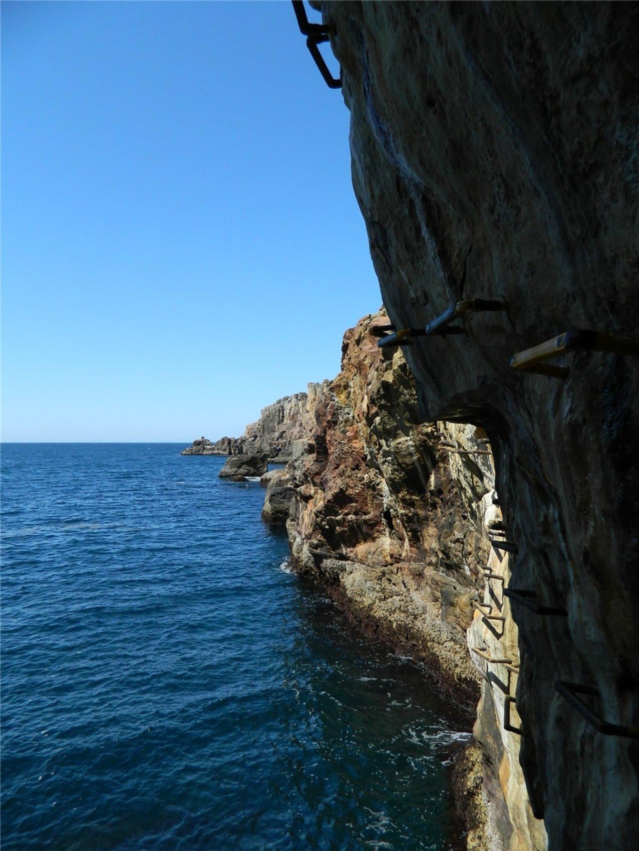 百万级帖主的“再度进击”|西日本,你不该错过这些