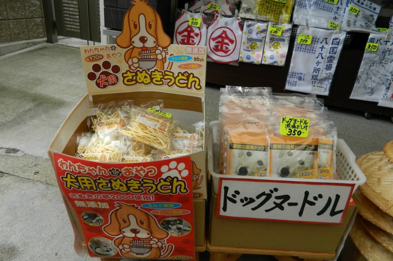 百万级帖主的“再度进击”|西日本,你不该错过这些