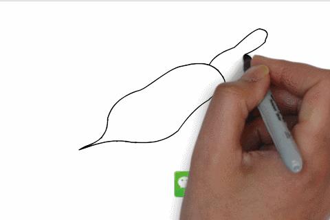 100个人物动态简笔画,青蛙蝌蚪动态简笔画