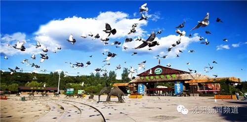 沈阳游玩攻略两天一夜带孩子,沈阳周末游玩好去处