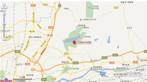 沈阳游玩攻略两天一夜带孩子,沈阳周末游玩好去处