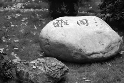 五大变化成就机投中学三年之变