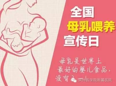 公益路上不断努力,公益捐狗粮