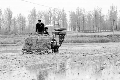 精准农业如何降低农业生产成本,如何提高农业种植的经济效益