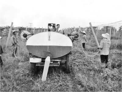 精准农业如何降低农业生产成本,如何提高农业种植的经济效益