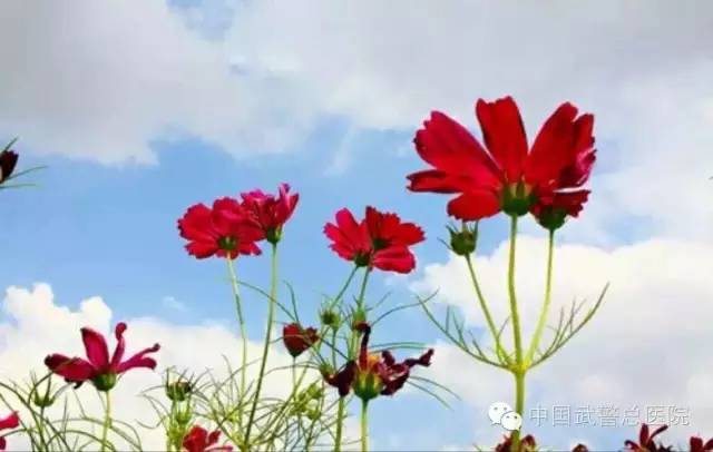 *警武**医院里的这群人他们的行为你想象不到！