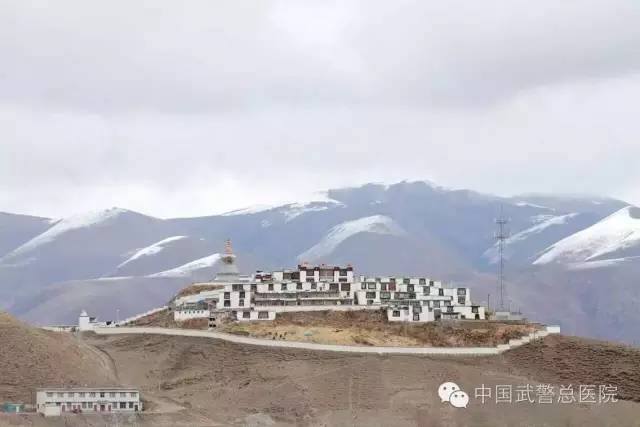 *警武**医院里的这群人他们的行为你想象不到！