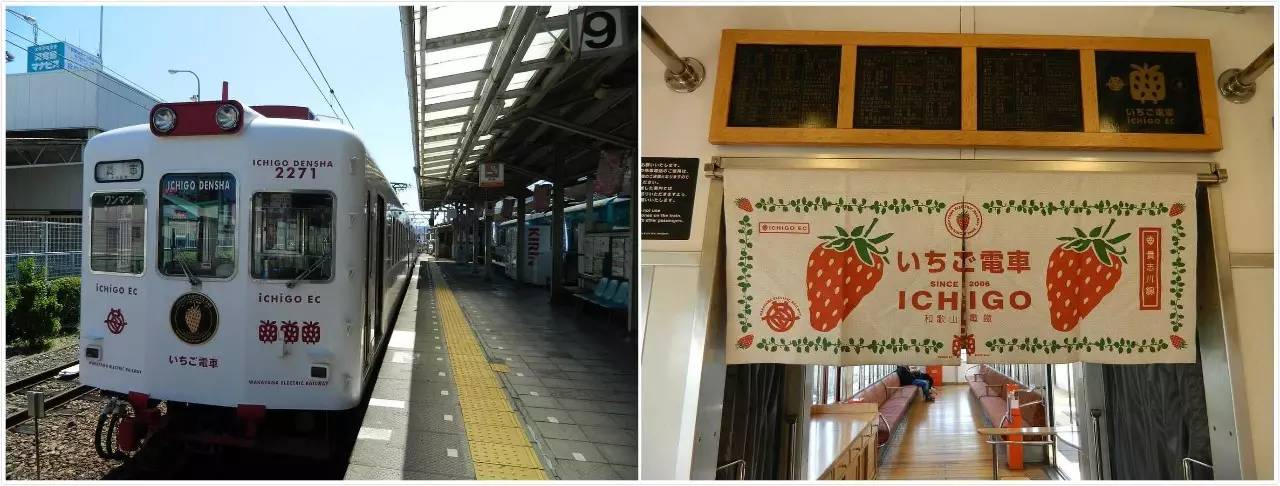 百万级帖主的“再度进击”|西日本,你不该错过这些