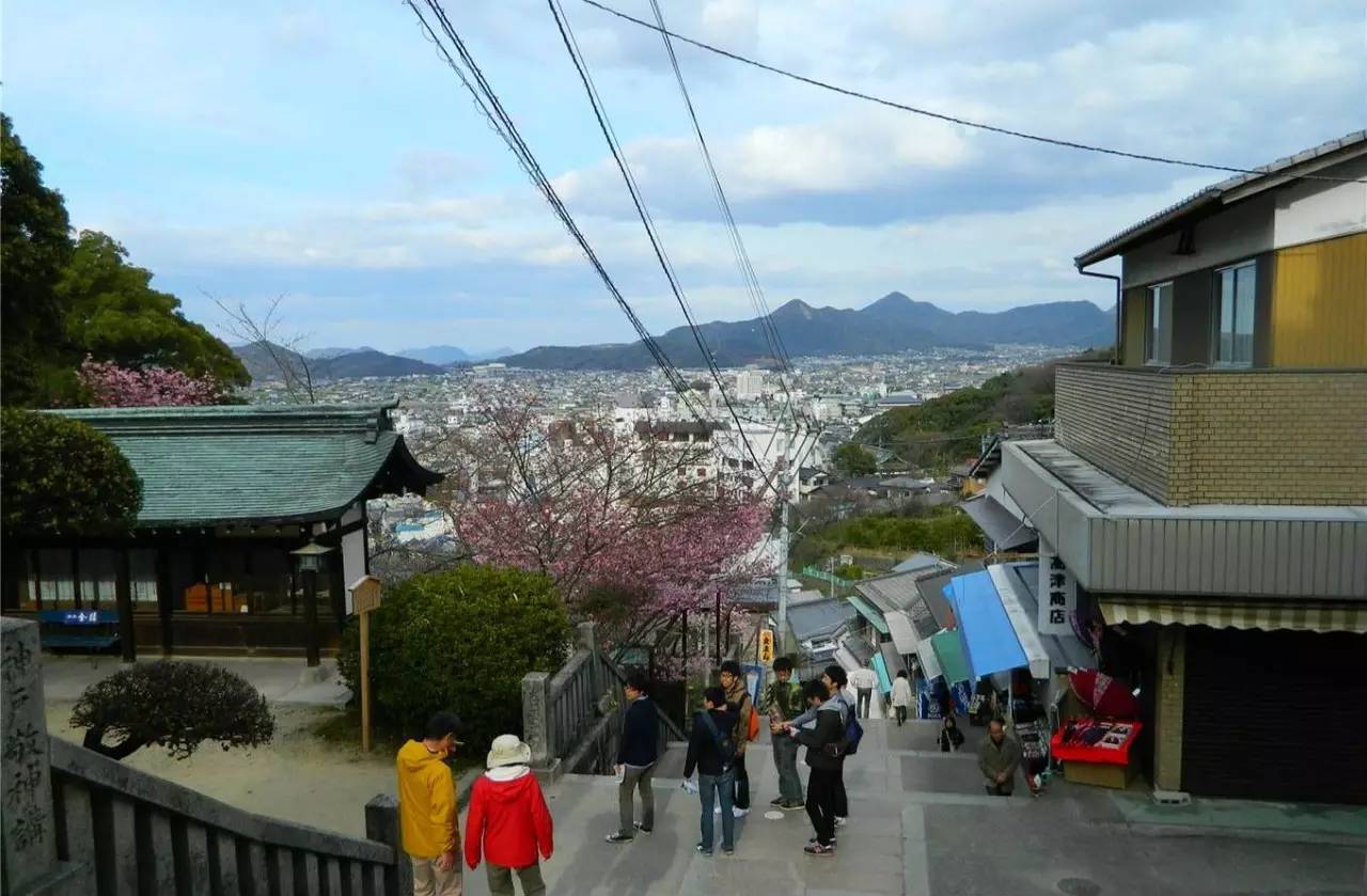 百万级帖主的“再度进击”|西日本,你不该错过这些