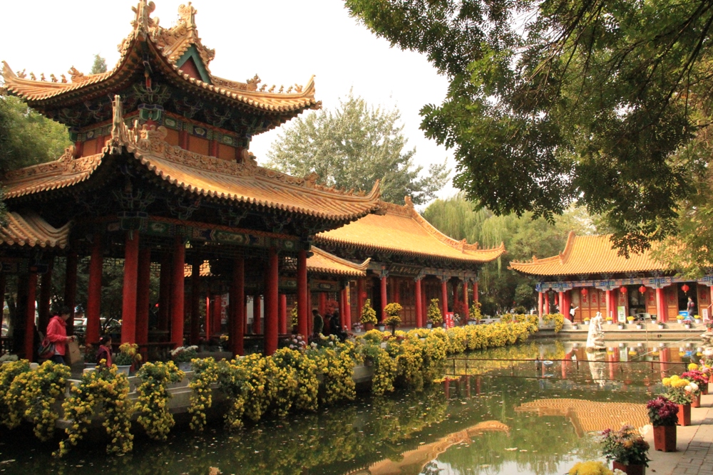 银川哪里最适合居住,银川哪个地段适合居住