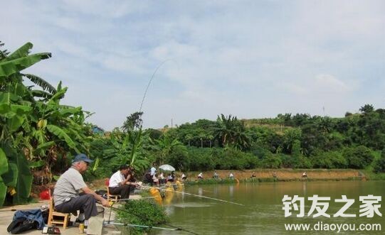 肥水鱼难钓怎么解决,鱼塘难肥水怎么处理最好