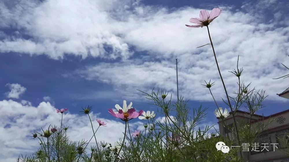 自驾六次进藏车友提示：进藏随身物品汇总，超全超细