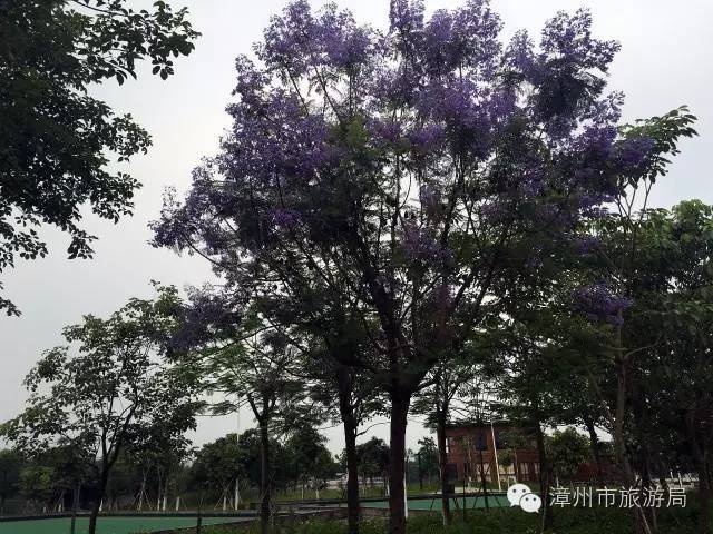 杭州西溪生态公园,西溪郊野公园好玩吗