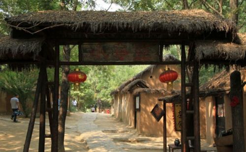 从A到Z，26个字母让你读懂微山湖红荷湿地