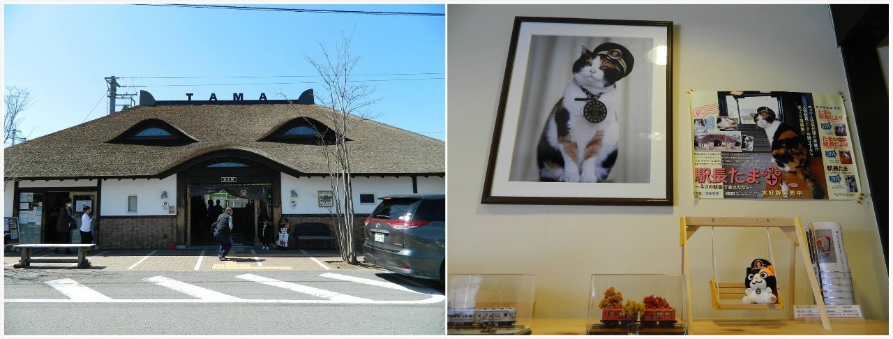 百万级帖主的“再度进击”|西日本,你不该错过这些