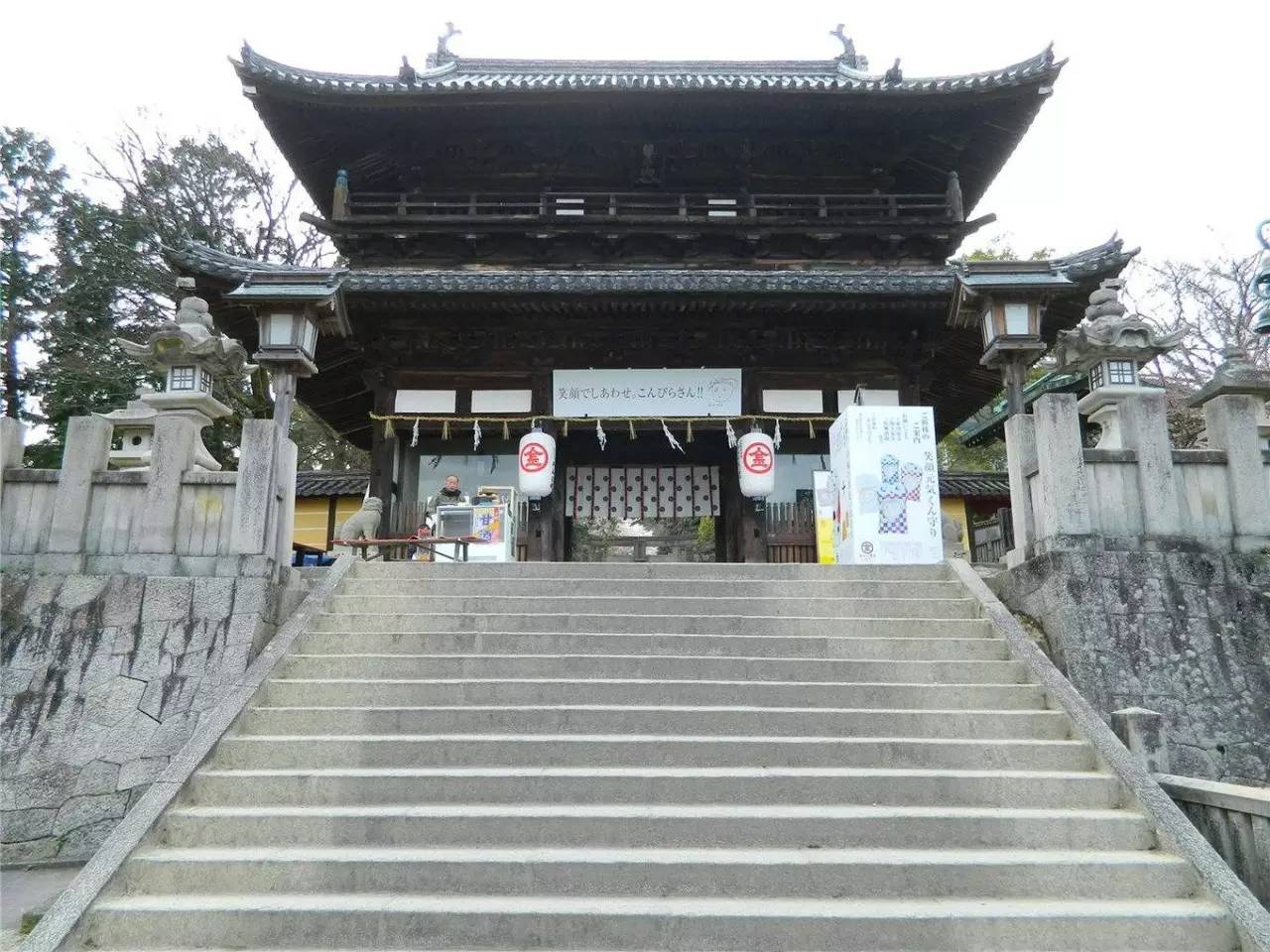 百万级帖主的“再度进击”|西日本,你不该错过这些