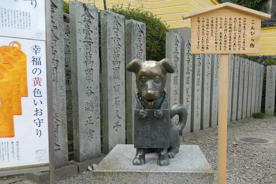 百万级帖主的“再度进击”|西日本,你不该错过这些