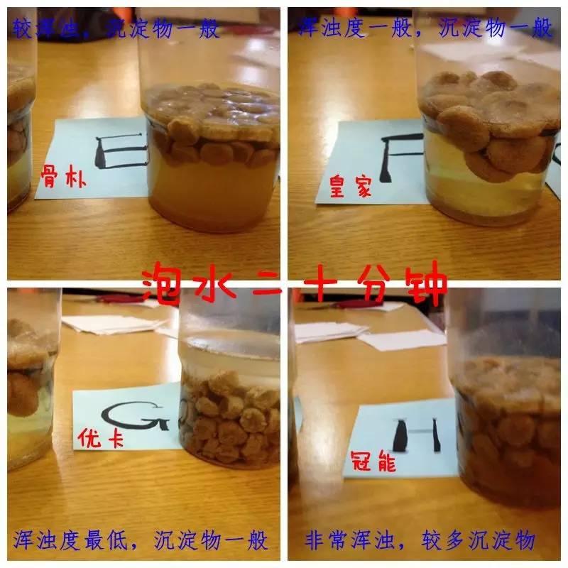 推荐几款好狗粮,2023热门狗粮测评