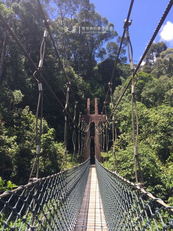 吴尊文莱照片,吴尊文莱最帅的照片